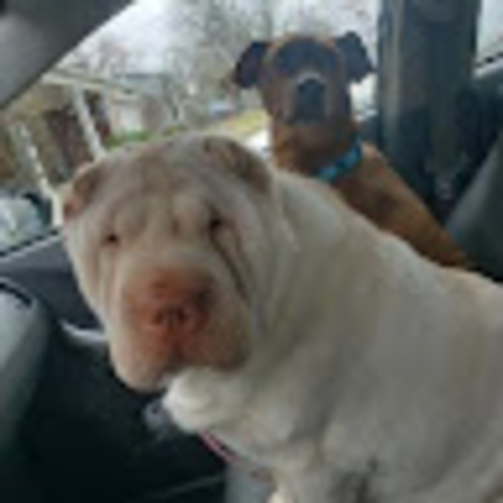 Meet your Posher, Gina